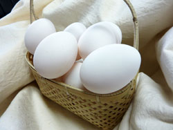 四万十市産新鮮卵
